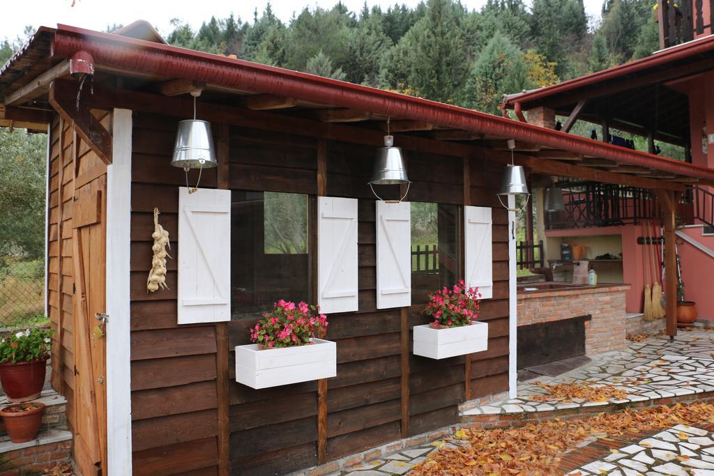 Traditional Guesthouse Trikala  Ngoại thất bức ảnh