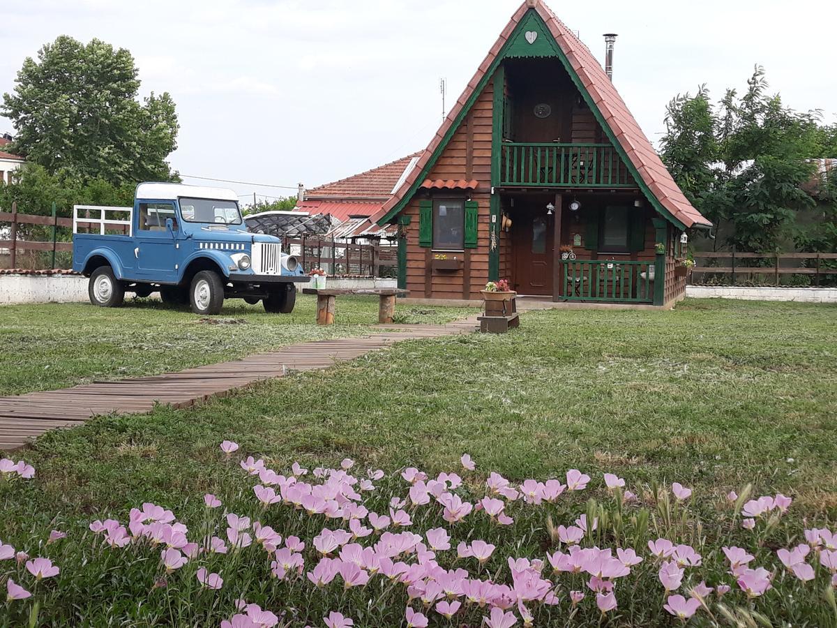 Traditional Guesthouse Trikala  Ngoại thất bức ảnh
