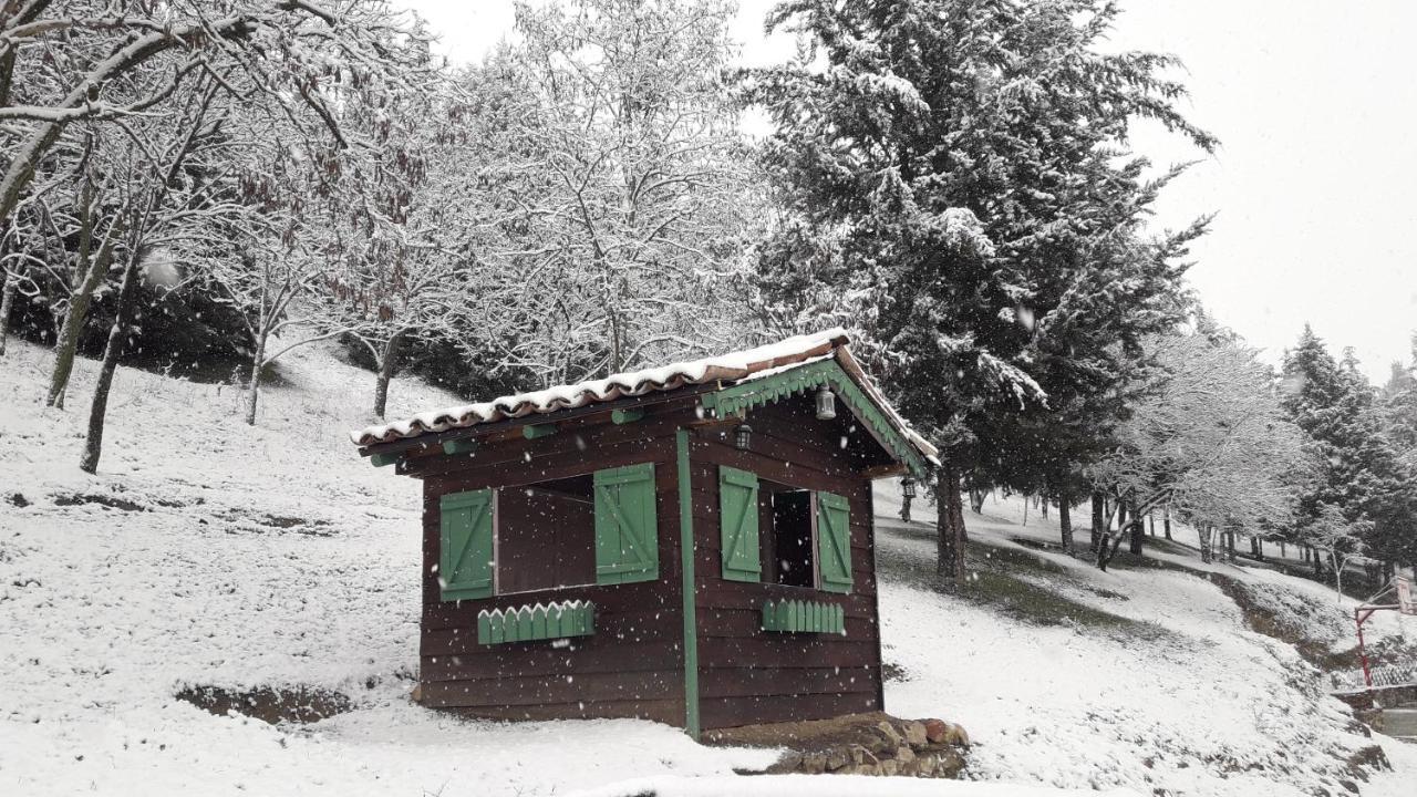 Traditional Guesthouse Trikala  Ngoại thất bức ảnh